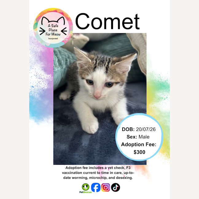 Photo of Comet