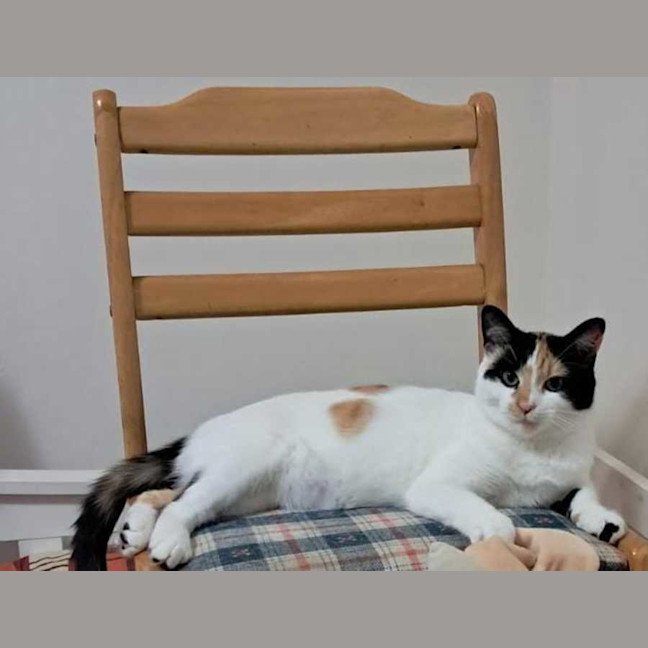 Photo of Mitzi