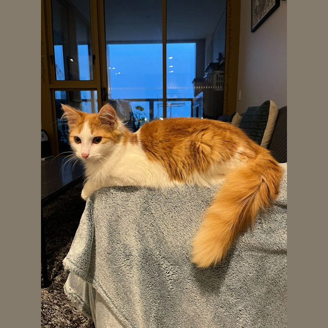 Photo of Murphy