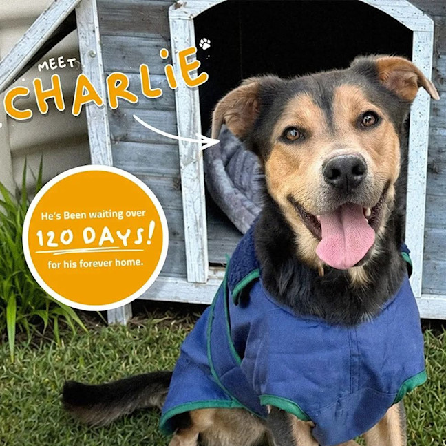 Photo of Charlie