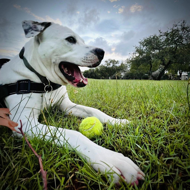 Photo of Kash