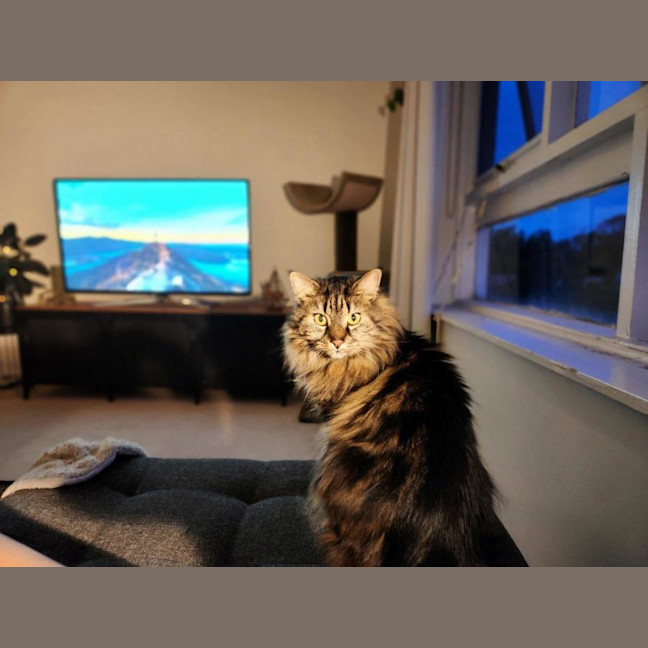 Photo of Molly Lozano