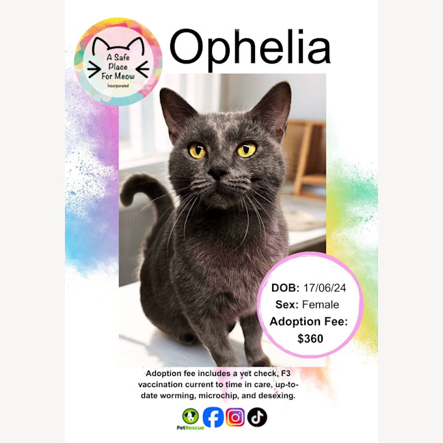 Photo of Ophelia