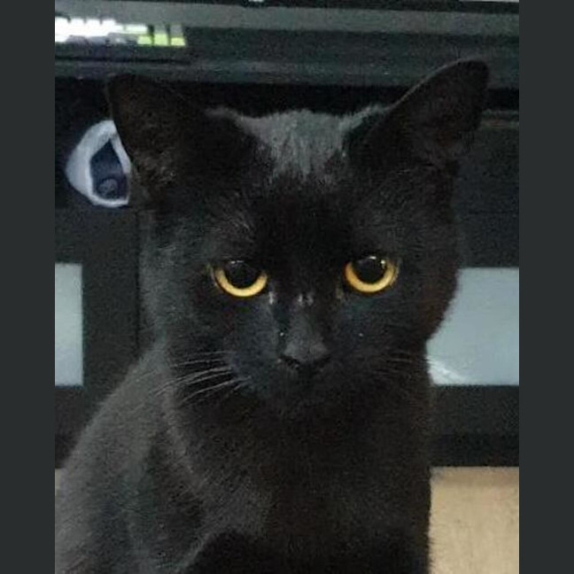 Photo of Krusher