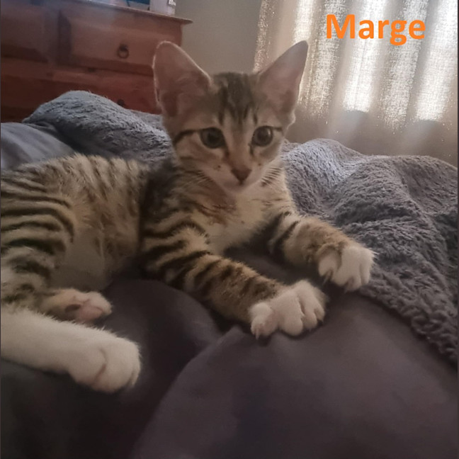 Photo of Marge
