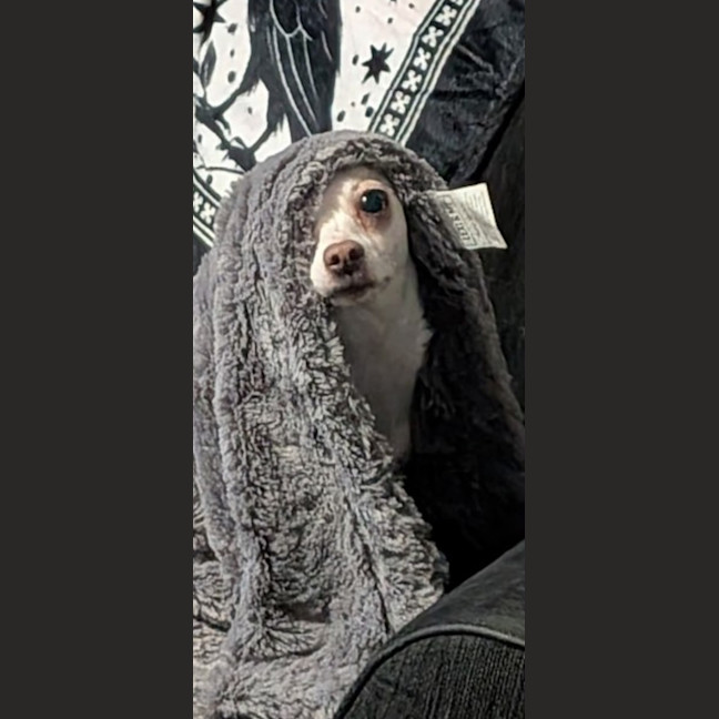 Photo of Camilla