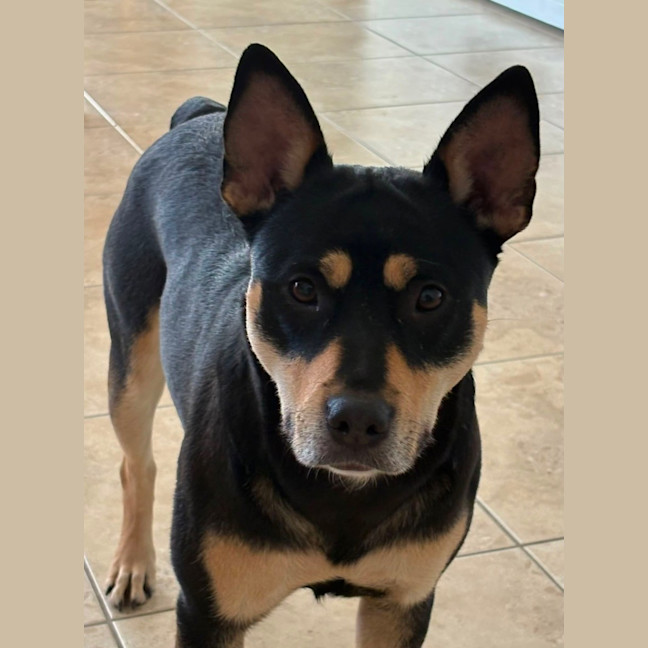 Photo of Tilly
