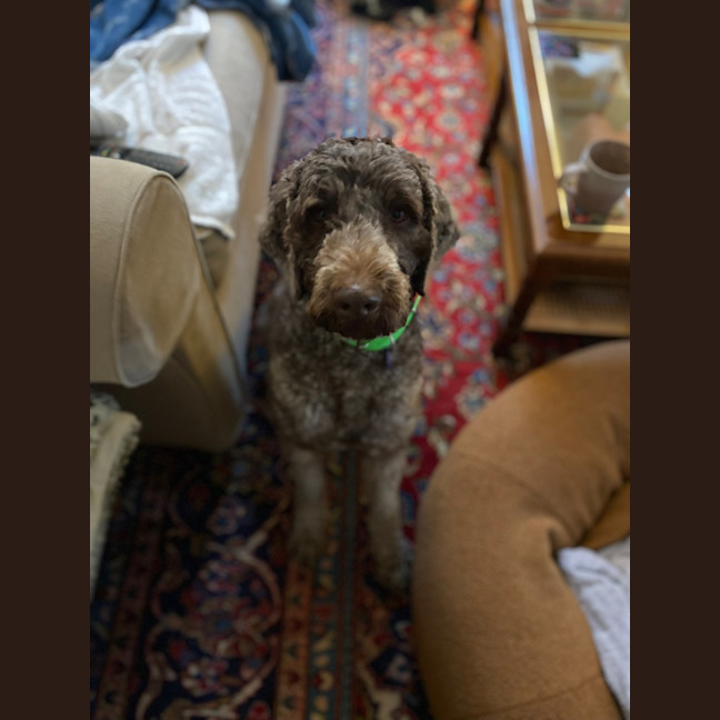 Photo of Lou Lou
