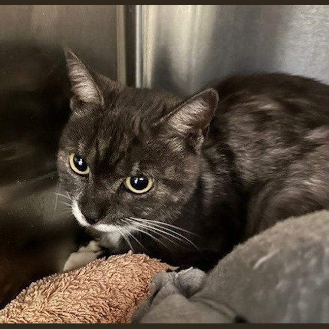 Photo of Miss Marple