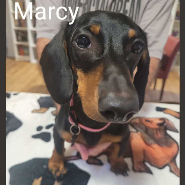 Photo of Marcy