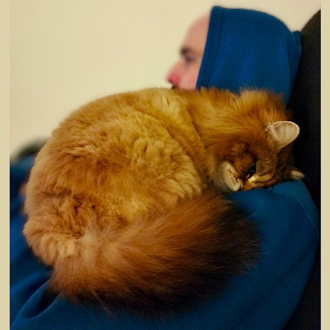 Photo of Milly Siberian