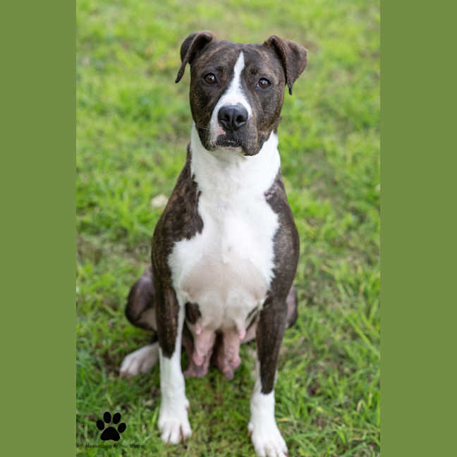 Photo of Sally