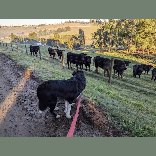 Photo of Finn Quinell