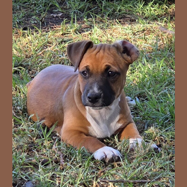 Photo of Zoe