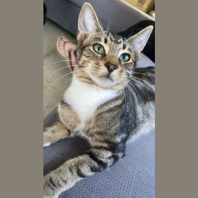 Photo of Little Man