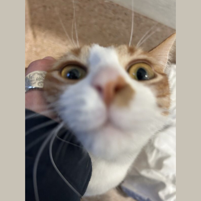 Photo of Bingo