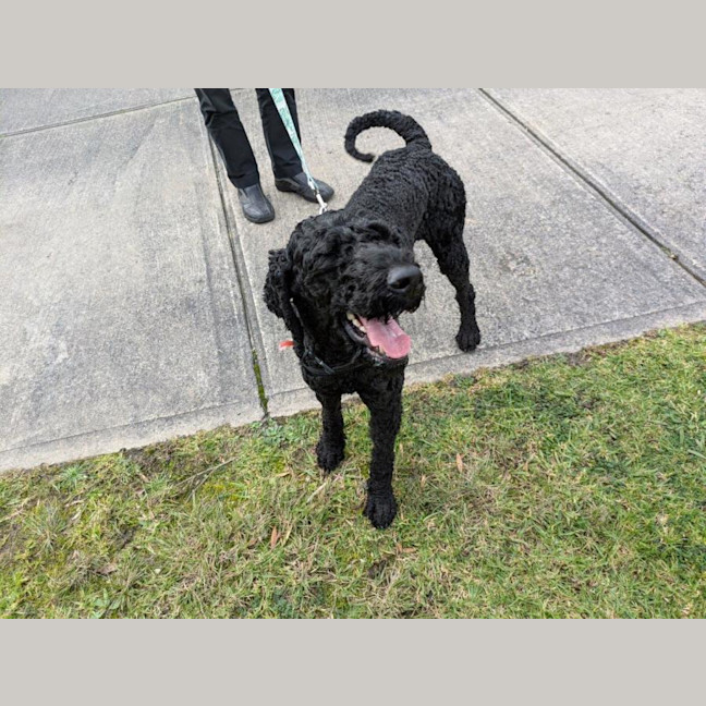 Photo of Arthur Russelton