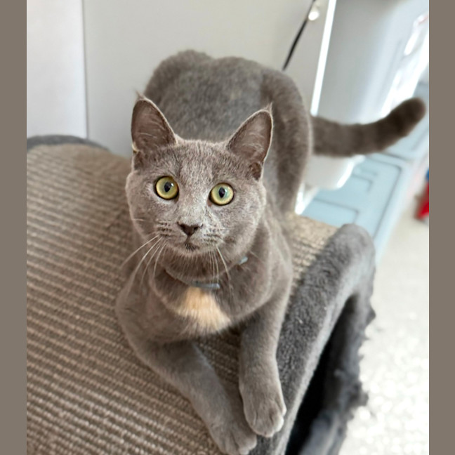 Photo of Terri (9238)