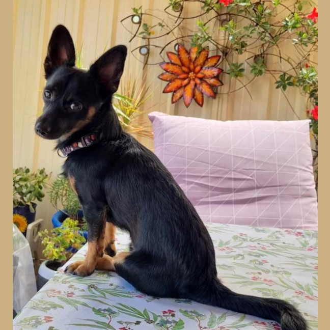 Photo of Henry! Loving, Happy Family Boy 