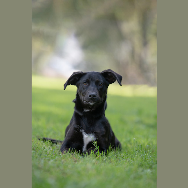 Photo of Milly