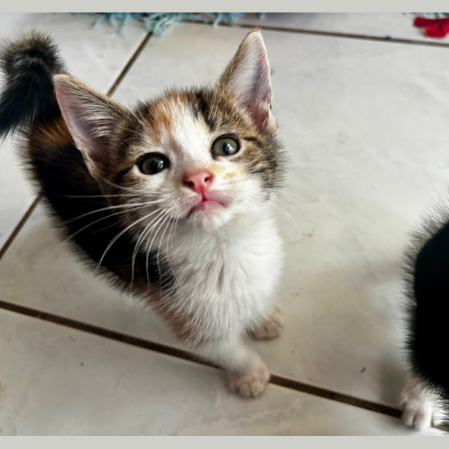 Photo of Mia