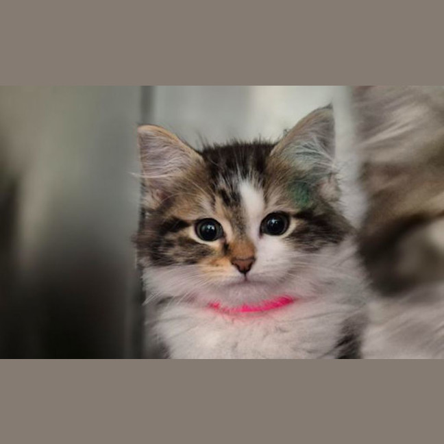 Photo of Zoe