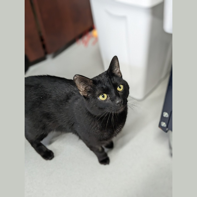 Photo of 🎐 Leroy 5499 🎐