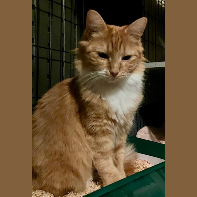 Photo of Zara And Leo