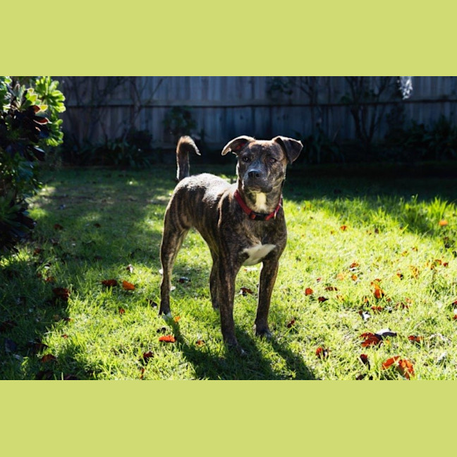 Photo of Benny Lozano