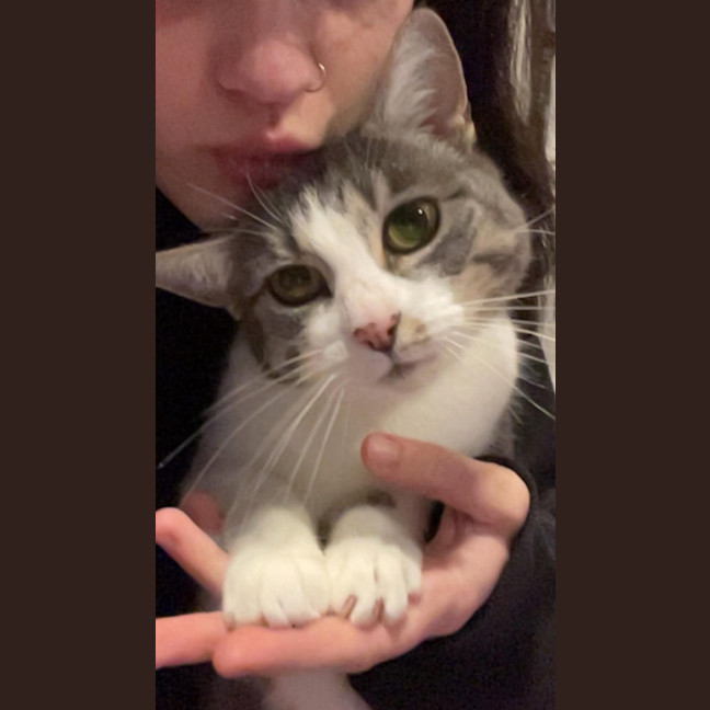 Photo of Belle