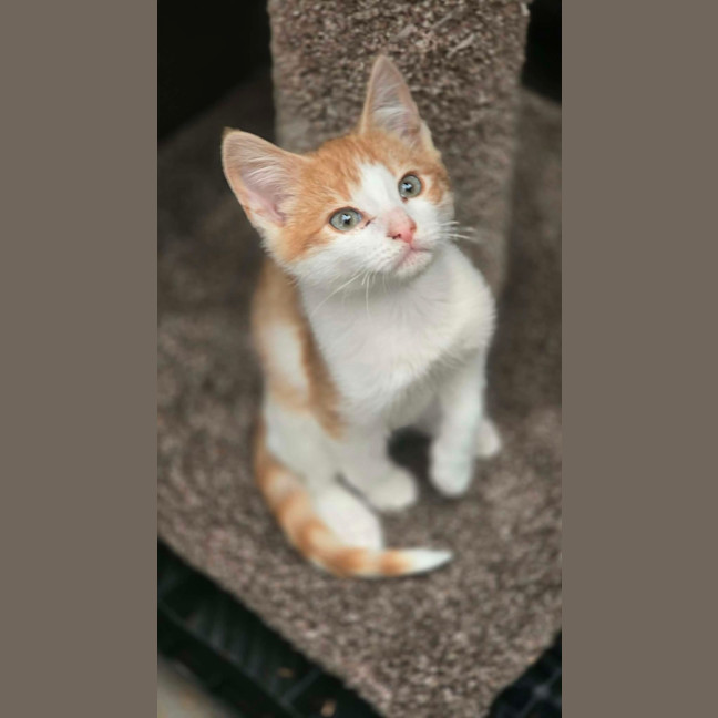 Photo of Quinn