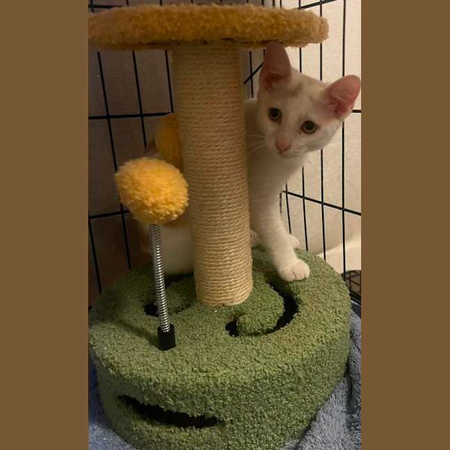 Photo of Sunny