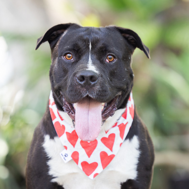 Photo of Buster