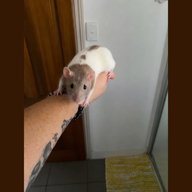 Photo of Guinness And Zadie