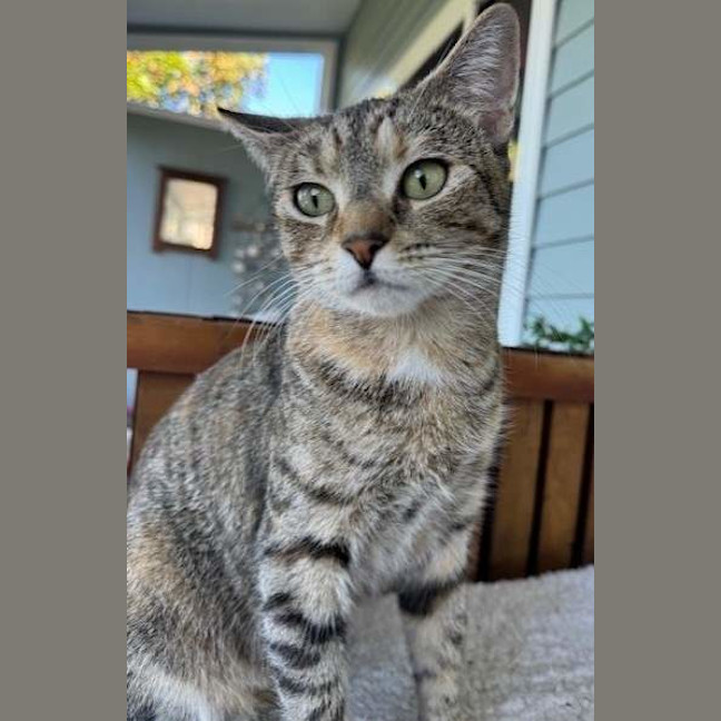 Photo of Angel