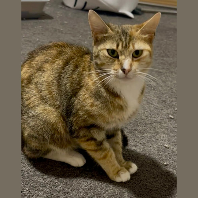 Photo of Tia Torrens