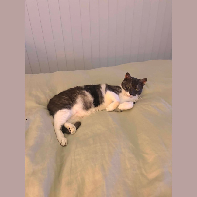 Photo of Maggie