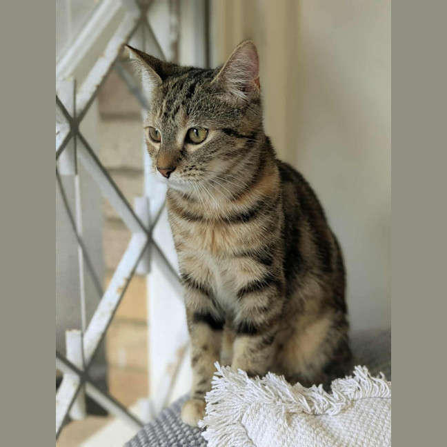 Photo of Milah