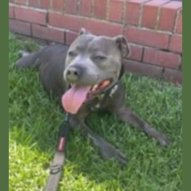 Photo of Freddy