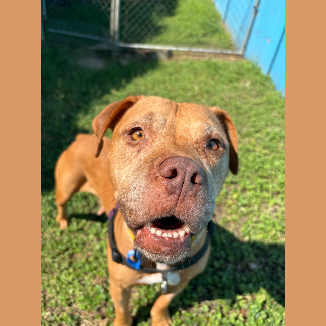 Photo of Nelly