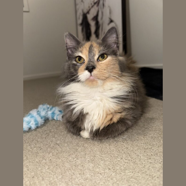 Photo of Hazel