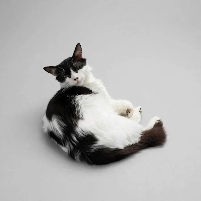 Photo of Charlie 