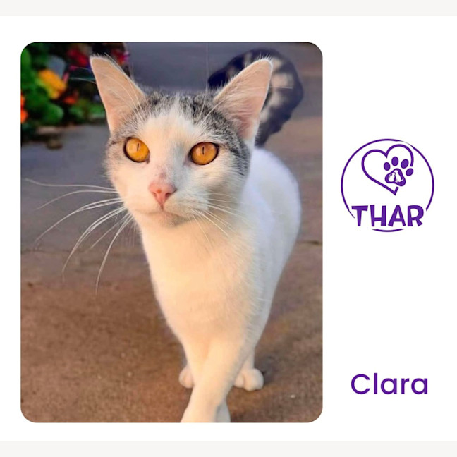 Photo of Clara