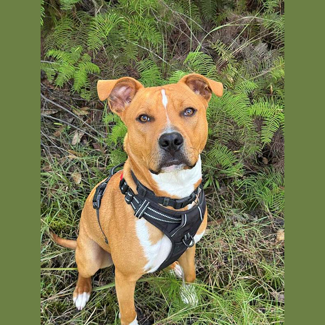 Photo of Roly