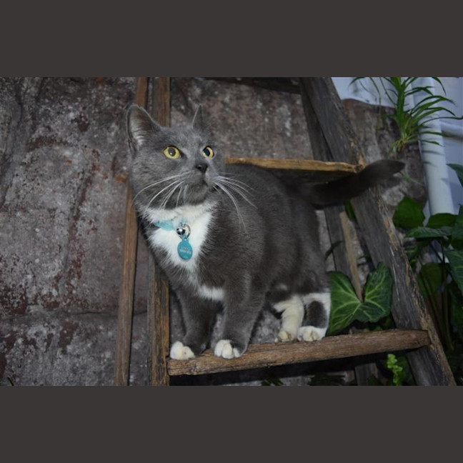 Photo of Sylvie