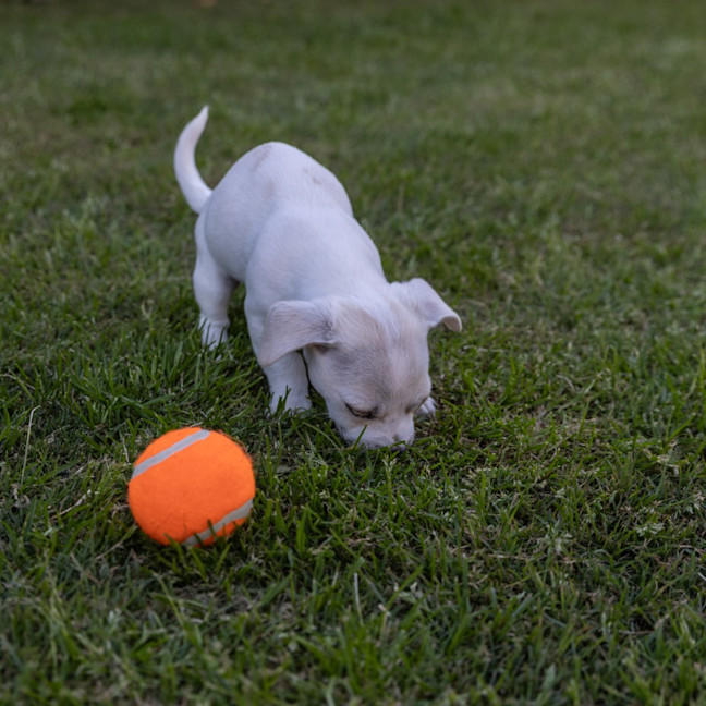 Photo of Cash
