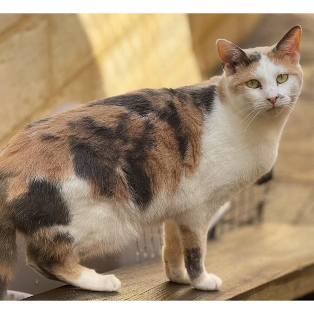 Photo of 11766   May