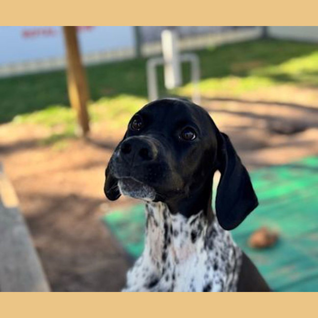 Photo of Doug 