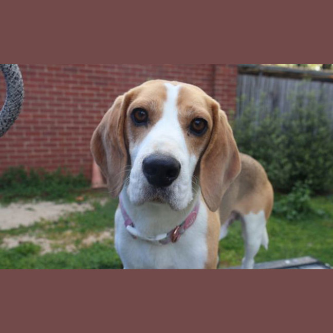 Photo of Gilbert