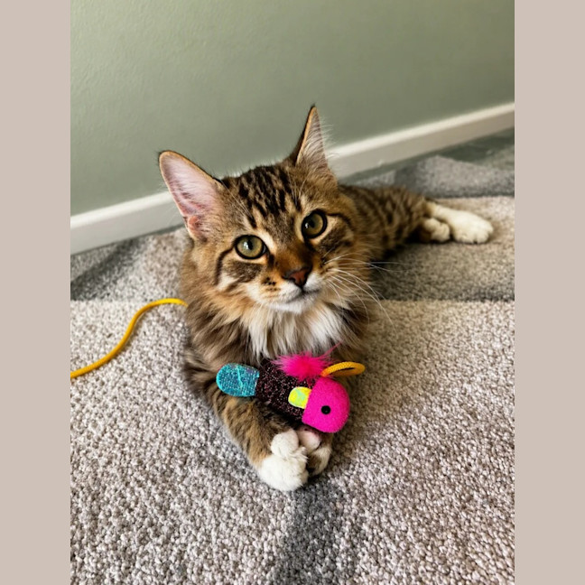 Photo of Fred
